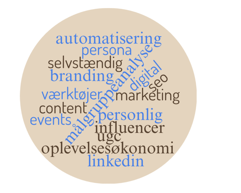 wordcloud med ord fra brainstorm