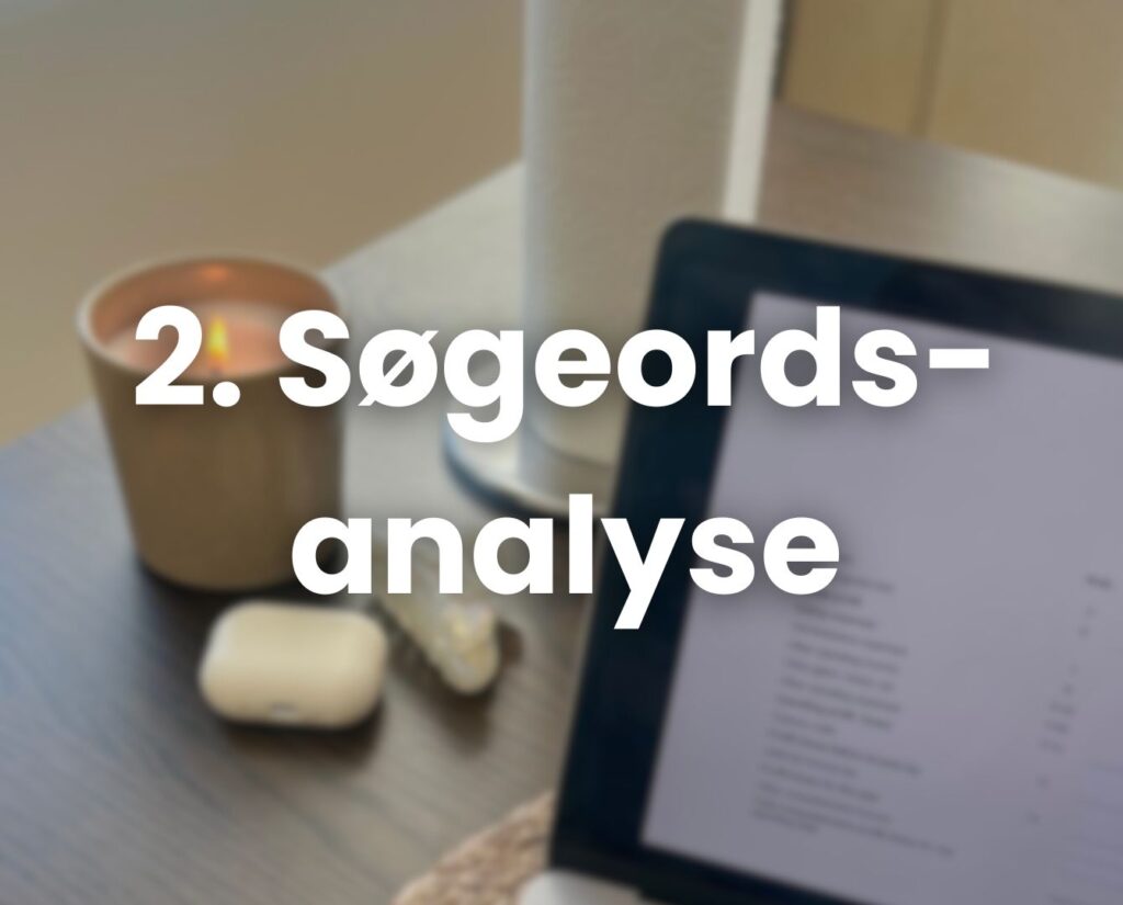 Mille Roennow, genvej til søgeordsanalyse